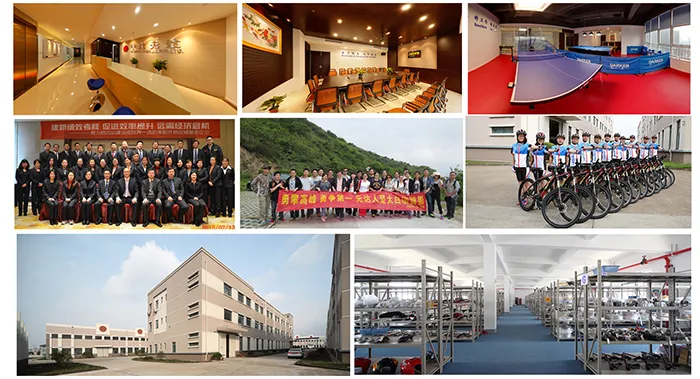 Chain Saw Ceramic Cylinder Fit for Ms170 (37mm)