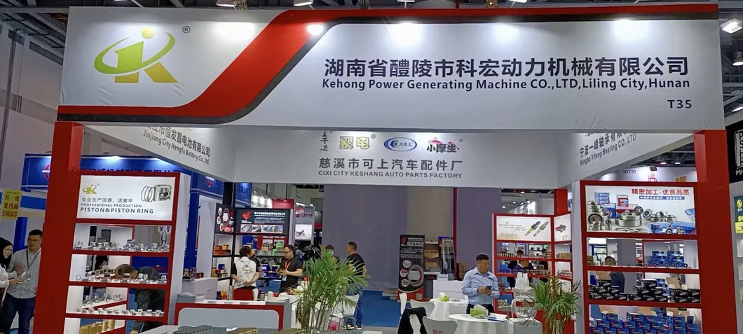 Diesel Motor Engine Parts a Class Tin-Coating Piston S125