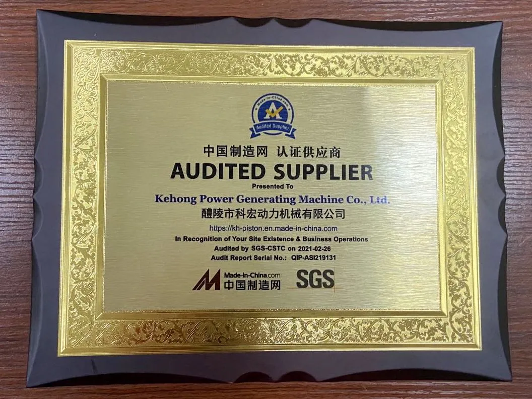 Diesel Motor Engine Parts a Class Tin-Coating Piston S125