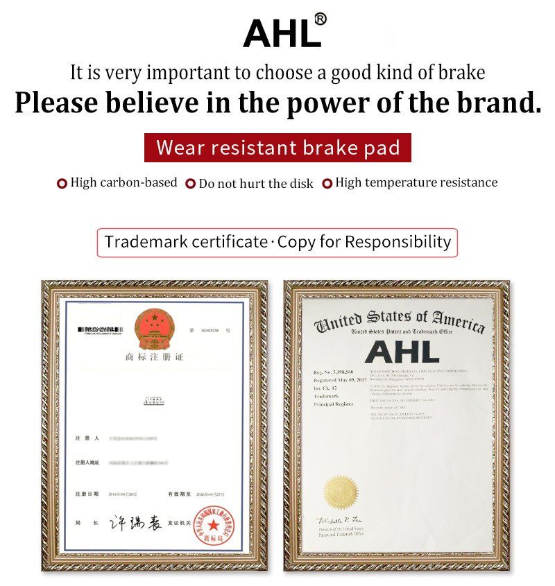 Fa208 Motorcycle Disc Brake Pad for CCM 404 Supermoto