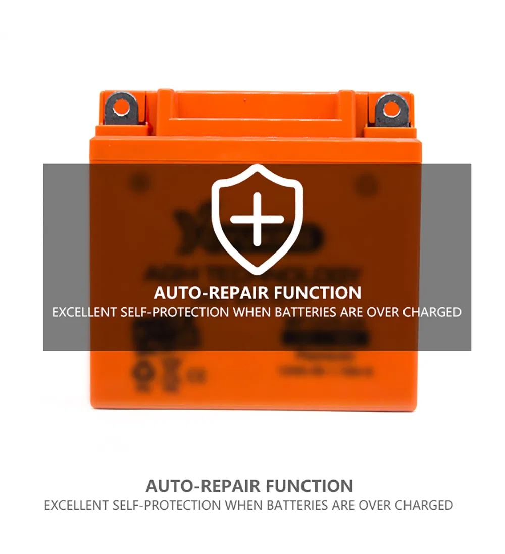Hot Sale High Quality Motorcycle Parts Maintenance Free Battery: Mf12V5-1A