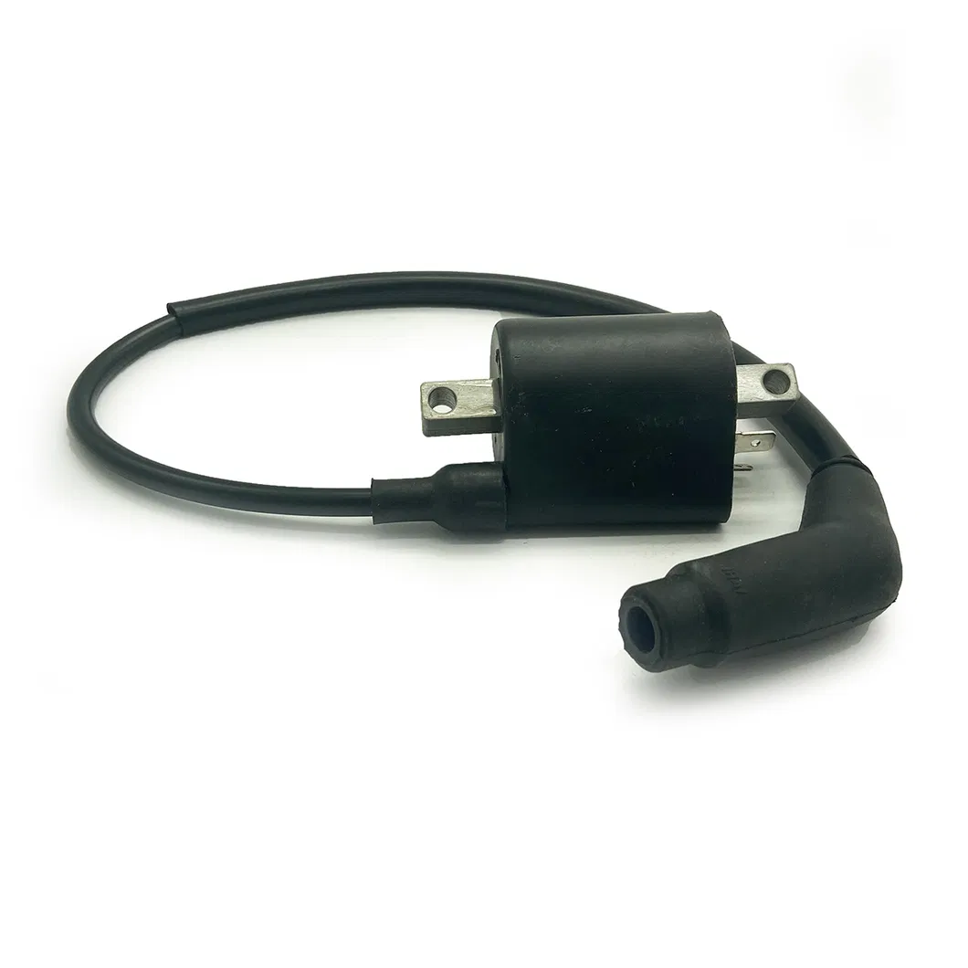 Ignition Coil for Linhai 260 300 400 500 520 550