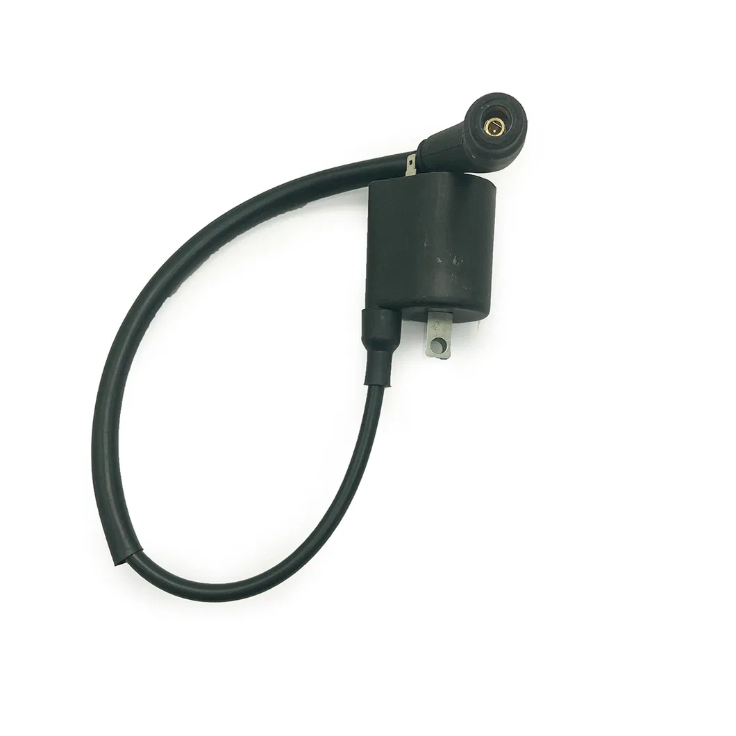 Ignition Coil for Linhai 260 300 400 500 520 550