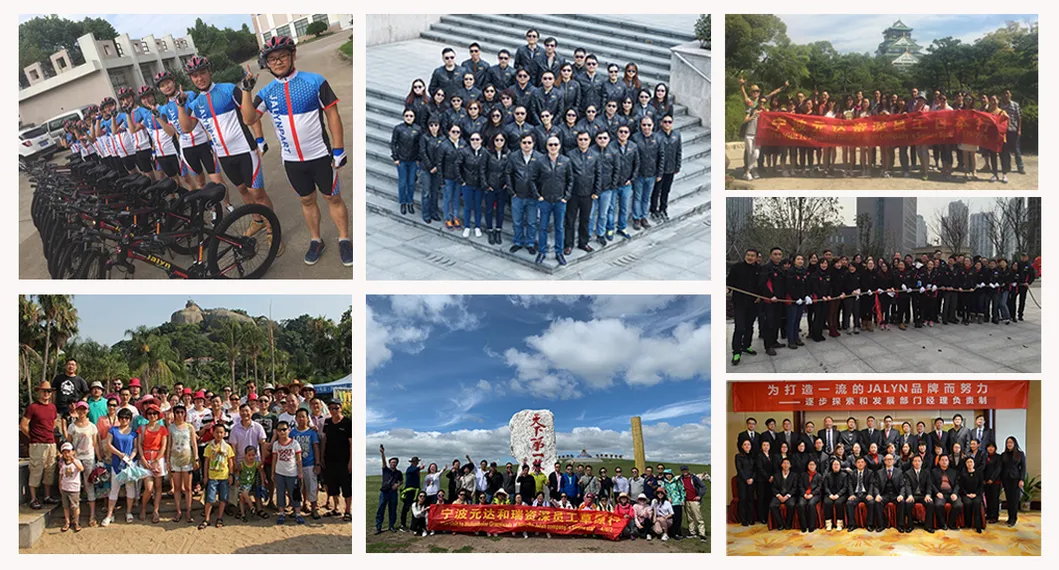 Jalyn Motorcycle Spare Parts Motorcycle Parts Motorcycle Footrest Motorcycle Footpeg