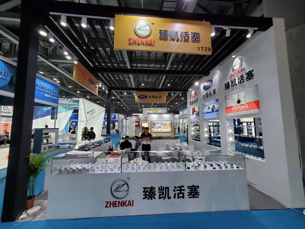 Motorcycle Engine Parts Piston Kit for Wh100 Gcc