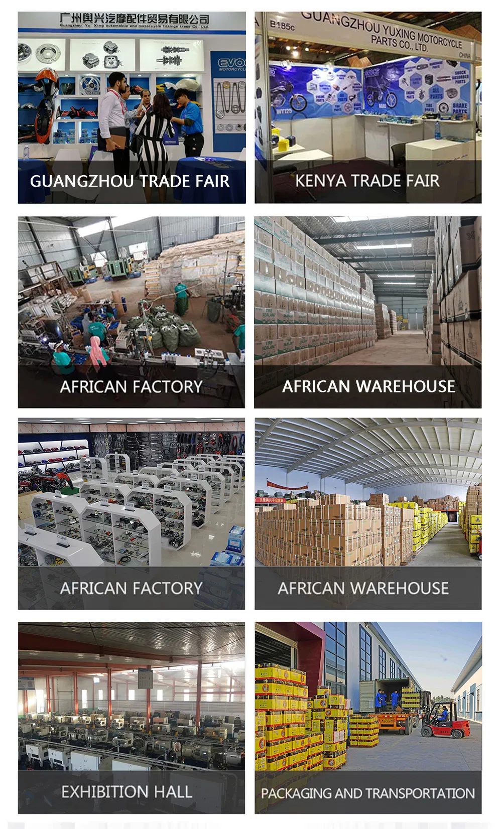 Motorcycle Engine Spare Part Motorcycle Cylinder Block Kit with (Piston, Piston rings)