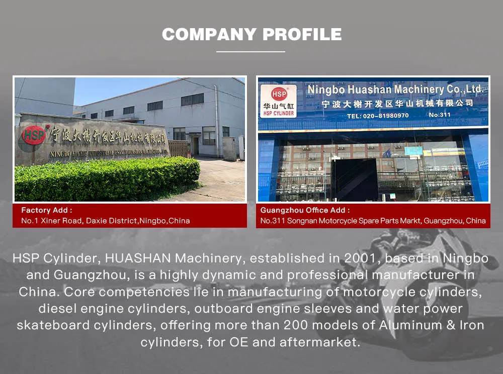 Motorcycle Parts Cylinder Block Kit for BAJAJ205 RE205