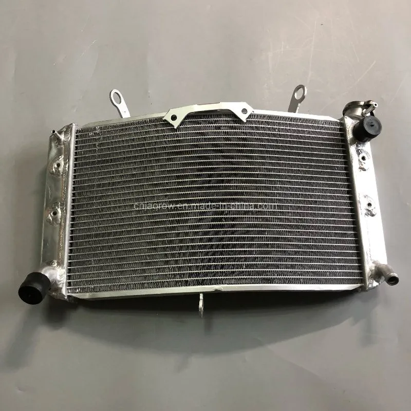 Motorcycle Spare Parts Custom Radiator for YAMAHA Fazer1000 Fzs1000 Fz1000 Fz1n 2006-2012