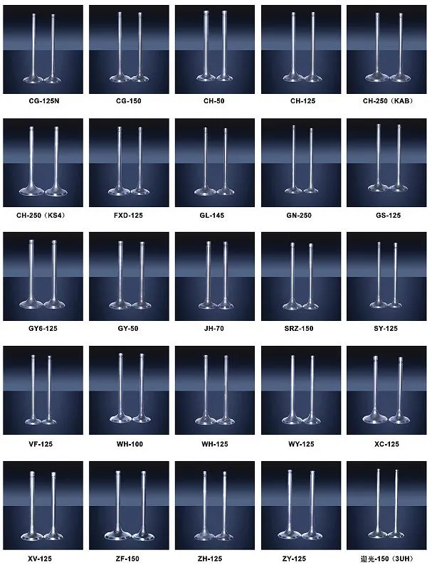 Motorcycle Spare Parts Valve for Outlook-150