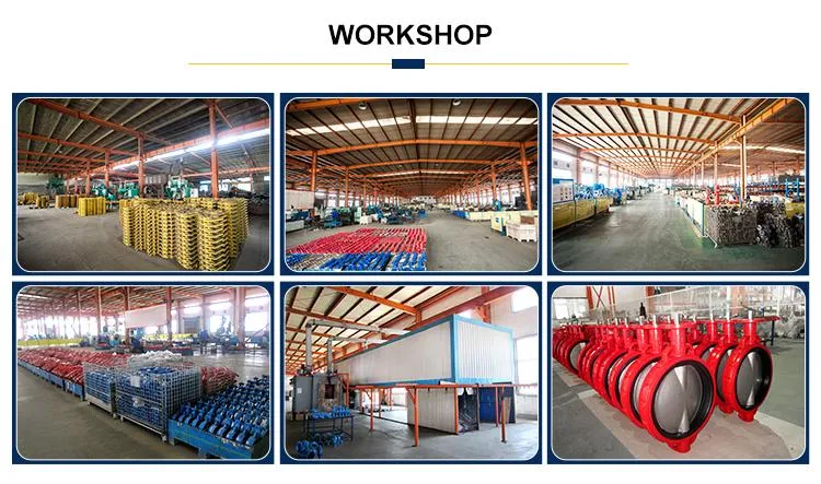 OEM Forging Aluminium Alloy Malleable Cast Iron Hand Lever