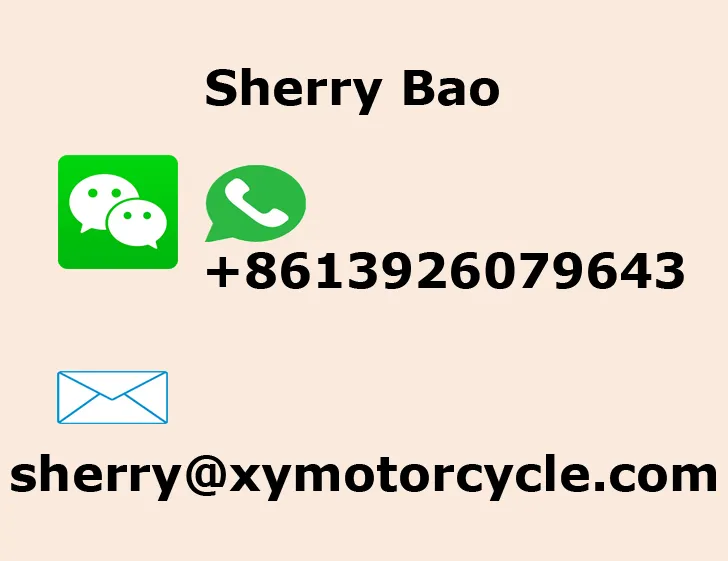 Original Motorcycle Movable Drive Face Front Clutch for Honda Activa S Elite 125 Vision 125 22110-K69-600