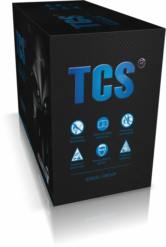 TCS Motorcycle Battery Dry Charged Mf Lead Acid YTX20-BS