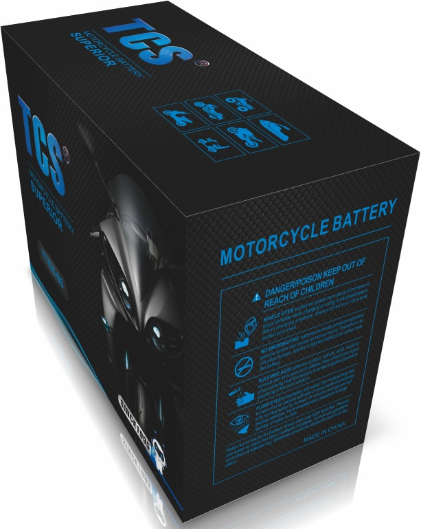 TCS Sealed Maintenance Free Motorcycle Battery 12N7B -BS