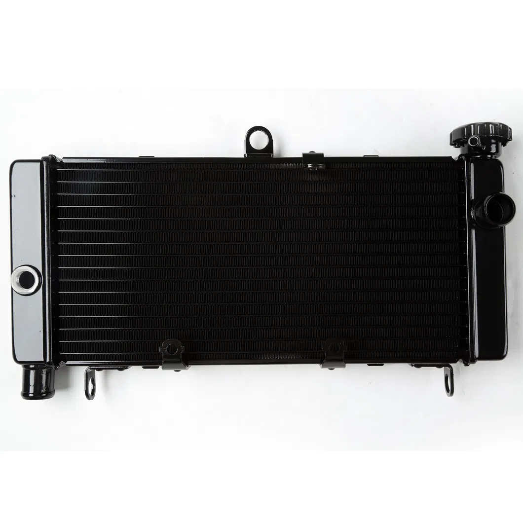 Xf-337 Motorcycles Radiator for Honda Cbr600 F4I 01-06 Cbr600 F4 99-00