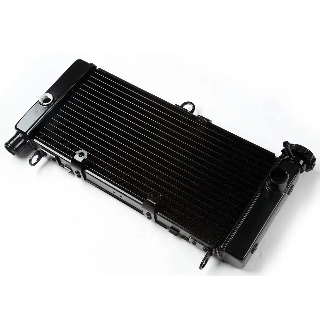 Xf-337 Motorcycles Radiator for Honda Cbr600 F4I 01-06 Cbr600 F4 99-00