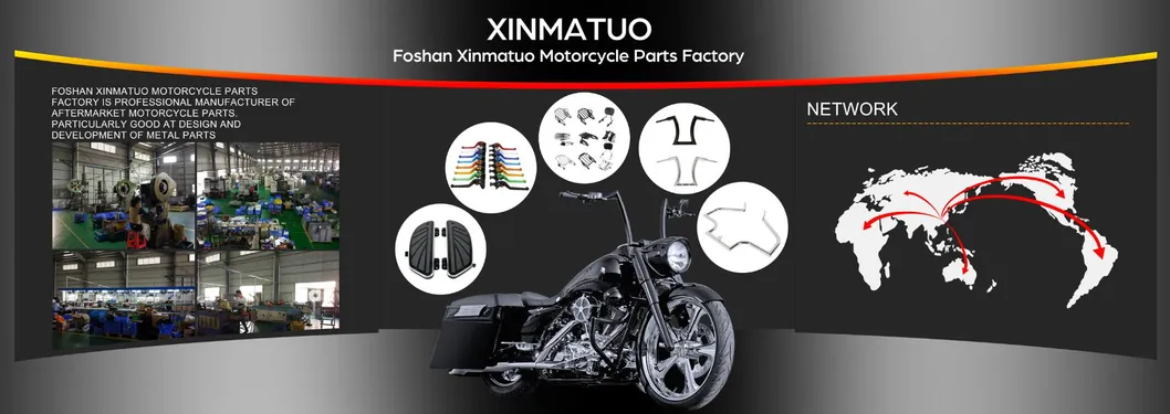 Xf2906A11-B/E-Short Short Passenger Backrest Sissy Bar Fit for Harley Iron 883 XL883n 04-Later