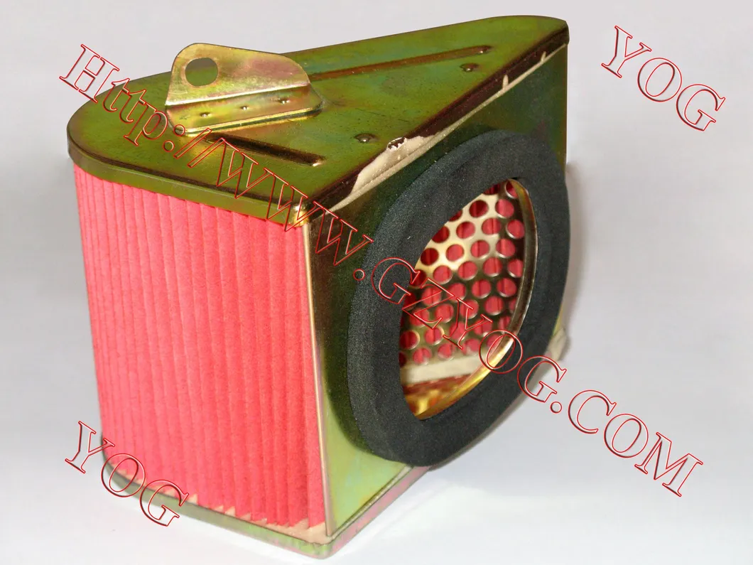 Yog Motorcycle Parts Motorcycle Air Filter for Gy6125 Ly150