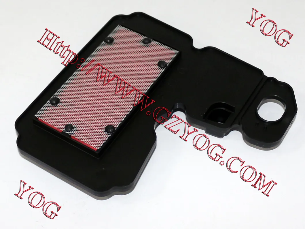 Yog Motorcycle Parts Motorcycle Air Filter for Gy6125 Ly150