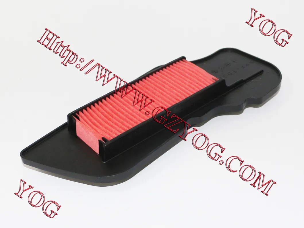 Yog Motorcycle Parts Motorcycle Air Filter for Gy6125 Ly150