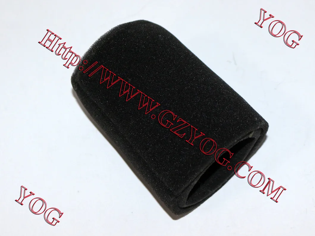 Yog Motorcycle Parts Motorcycle Air Filter for Gy6125 Ly150