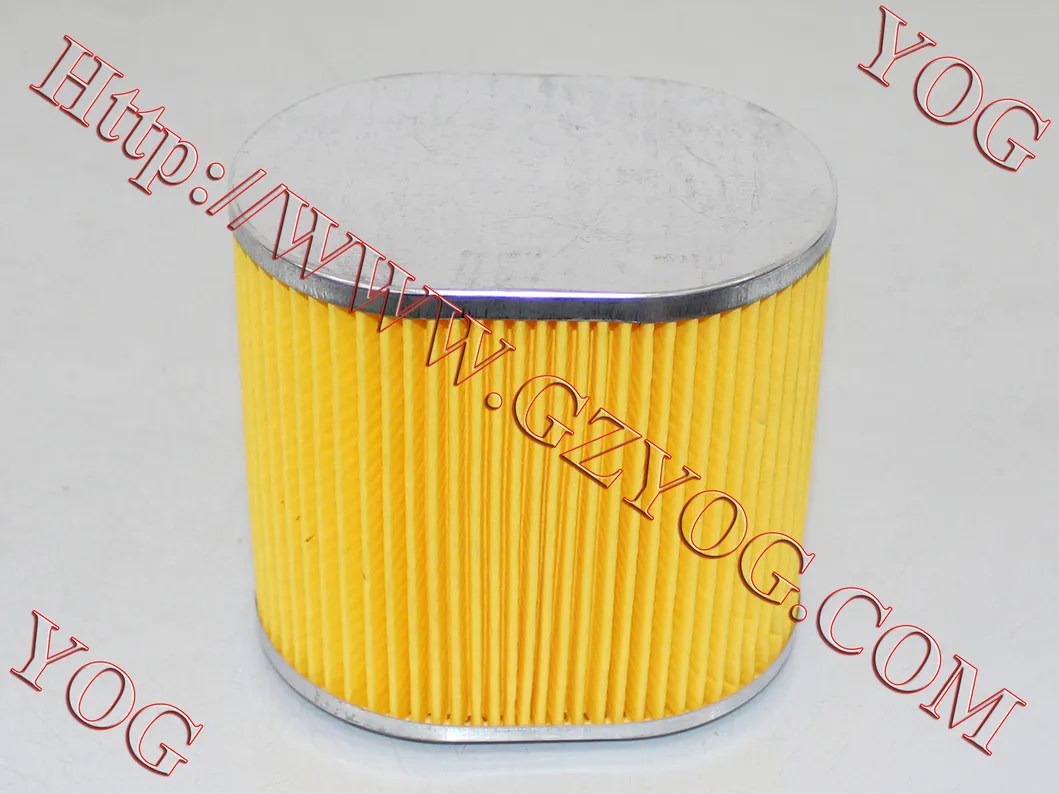 Yog Motorcycle Parts Motorcycle Air Filter Gy6125