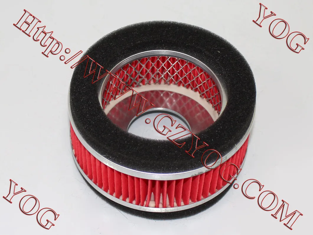 Yog Motorcycle Parts Motorcycle Air Filter Gy6125