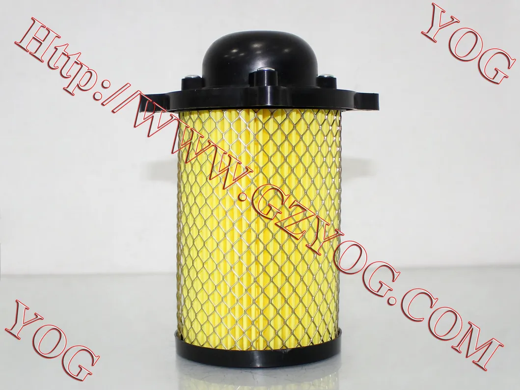 Yog Motorcycle Parts Motorcycle Air Filter Gy6125