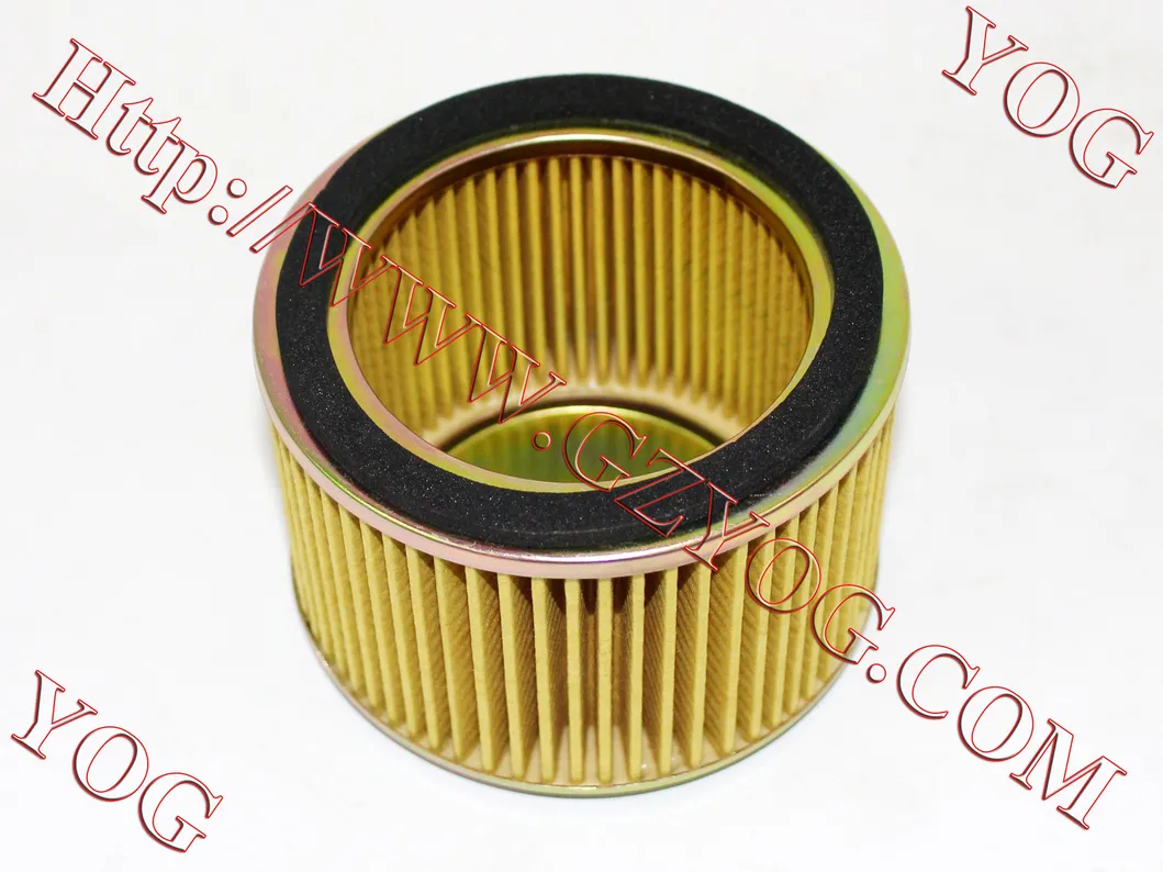 Yog Motorcycle Parts Motorcycle Air Filter Gy6125